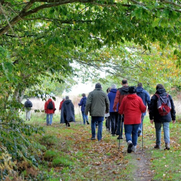 Group of hikers in colorful jackets walking on a leafy trail under a canopy of green trees.