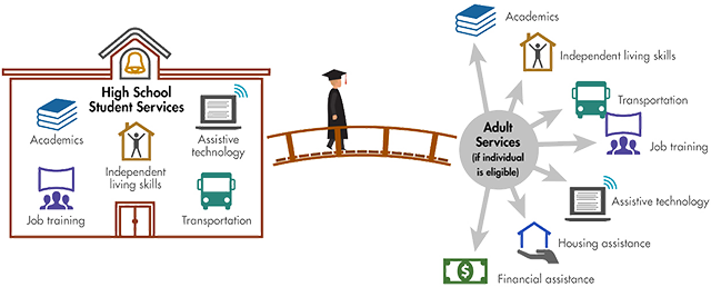 depiction of the lengthy application process for services Potential continuing services following high school, including academics, job training, independent living skills, etc.