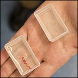 Vanderbilt University