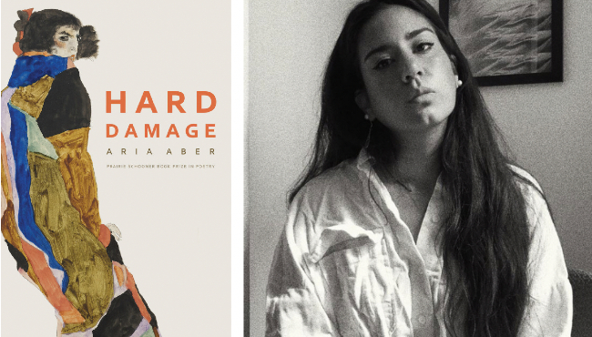 Hard Damage by author Aria Aber