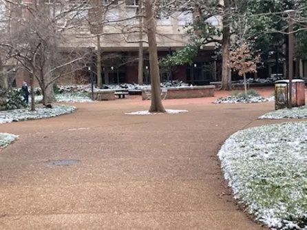Pictures of Vanderbilt University's campus on Monday, January 17, 2022.