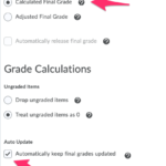 Cursor_and_Calculation_Options_-_Michael_Coley_-_Sandbox_Course_-_Vanderbilt_University