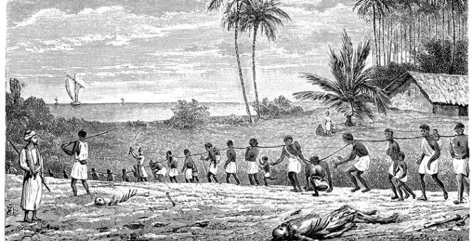 Vanderbilt University