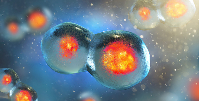 Cell embryo, Mitosis under microscope. 3D illustration
