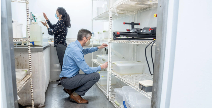 Vanderbilt University