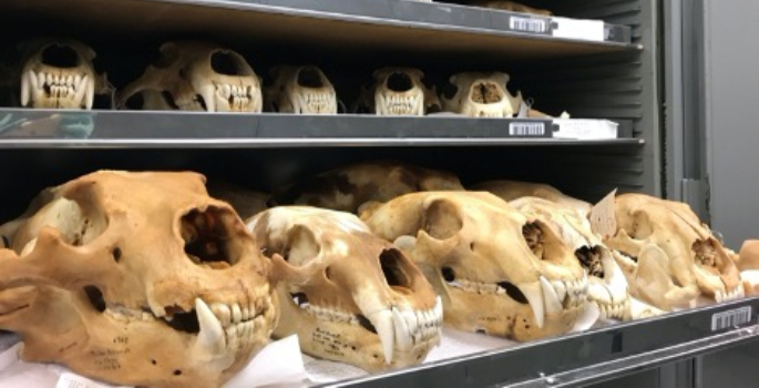 Vanderbilt University