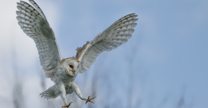 Vanderbilt University