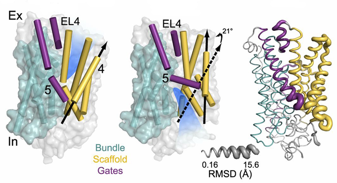 Vanderbilt University