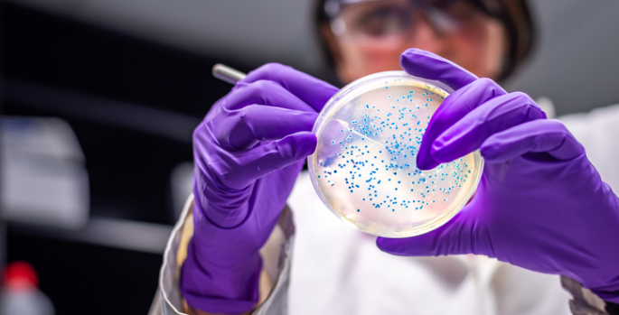 Vanderbilt University