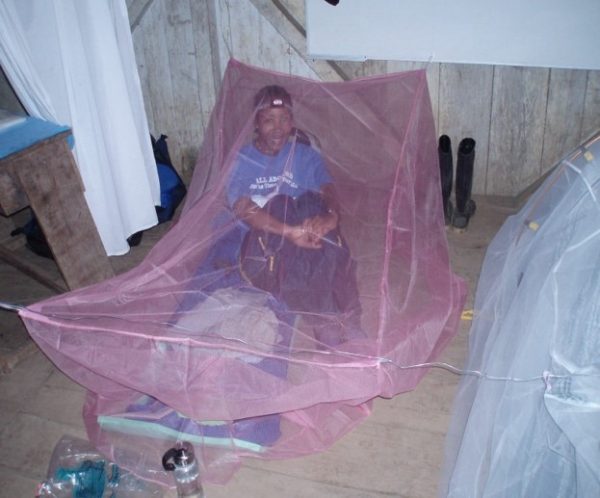 Professor Audrey Bowden, 2008