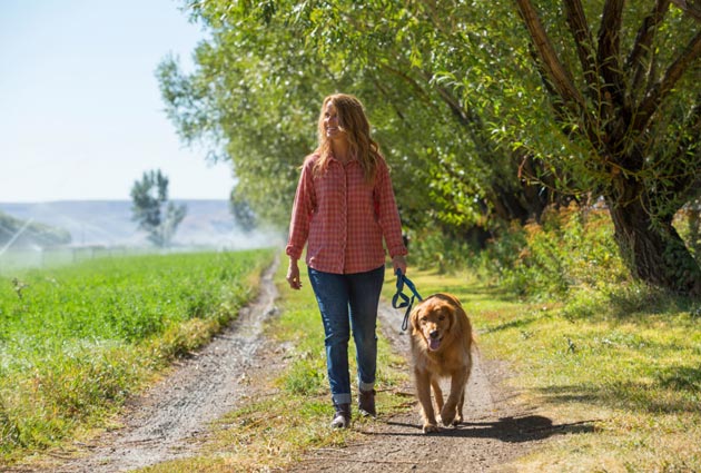 Vanderbilt University