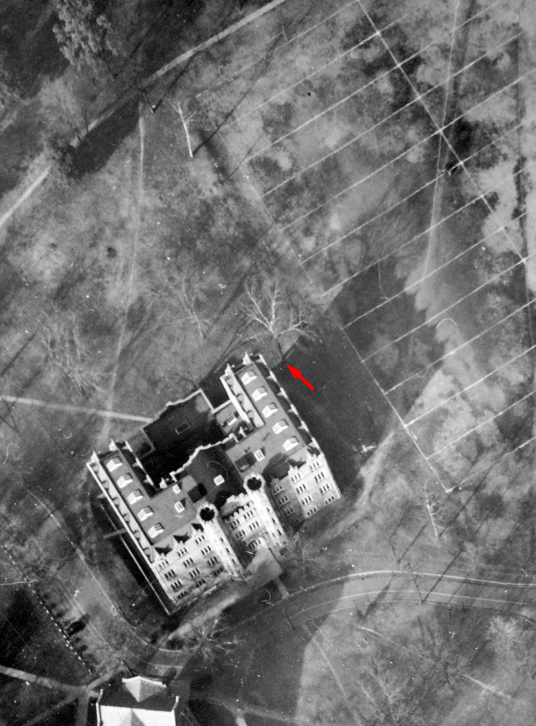 Curry Field and the champion sugarberry, c.1946