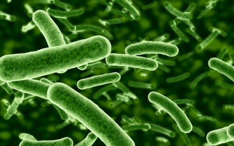 Illustration of floating bacteria