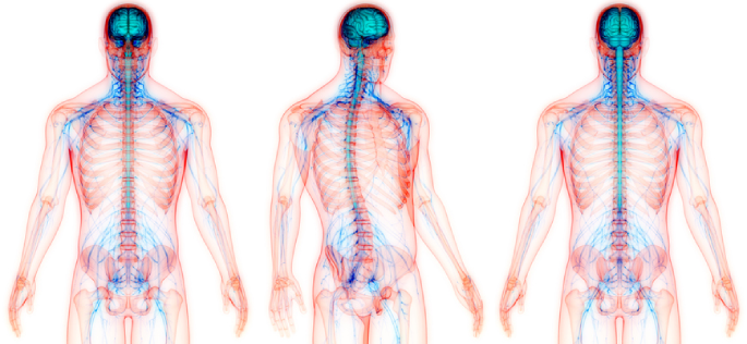 Vanderbilt University