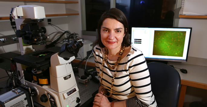 Vanderbilt University