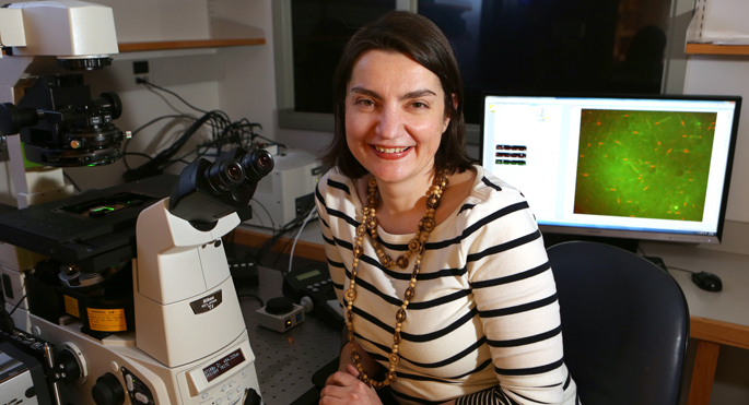 Vanderbilt University