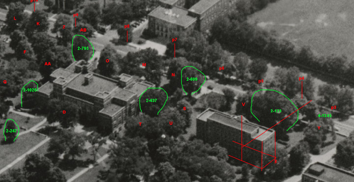 central library 1948