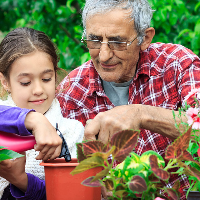 integrative medicine & holistic medicine