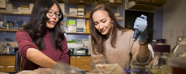 Vanderbilt University