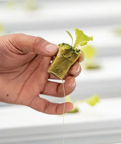 John Russell/Vanderbilt University