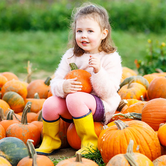 nashville staycation ideas for fall