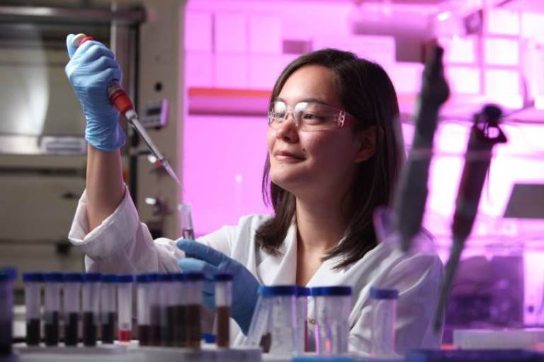 Vanderbilt University