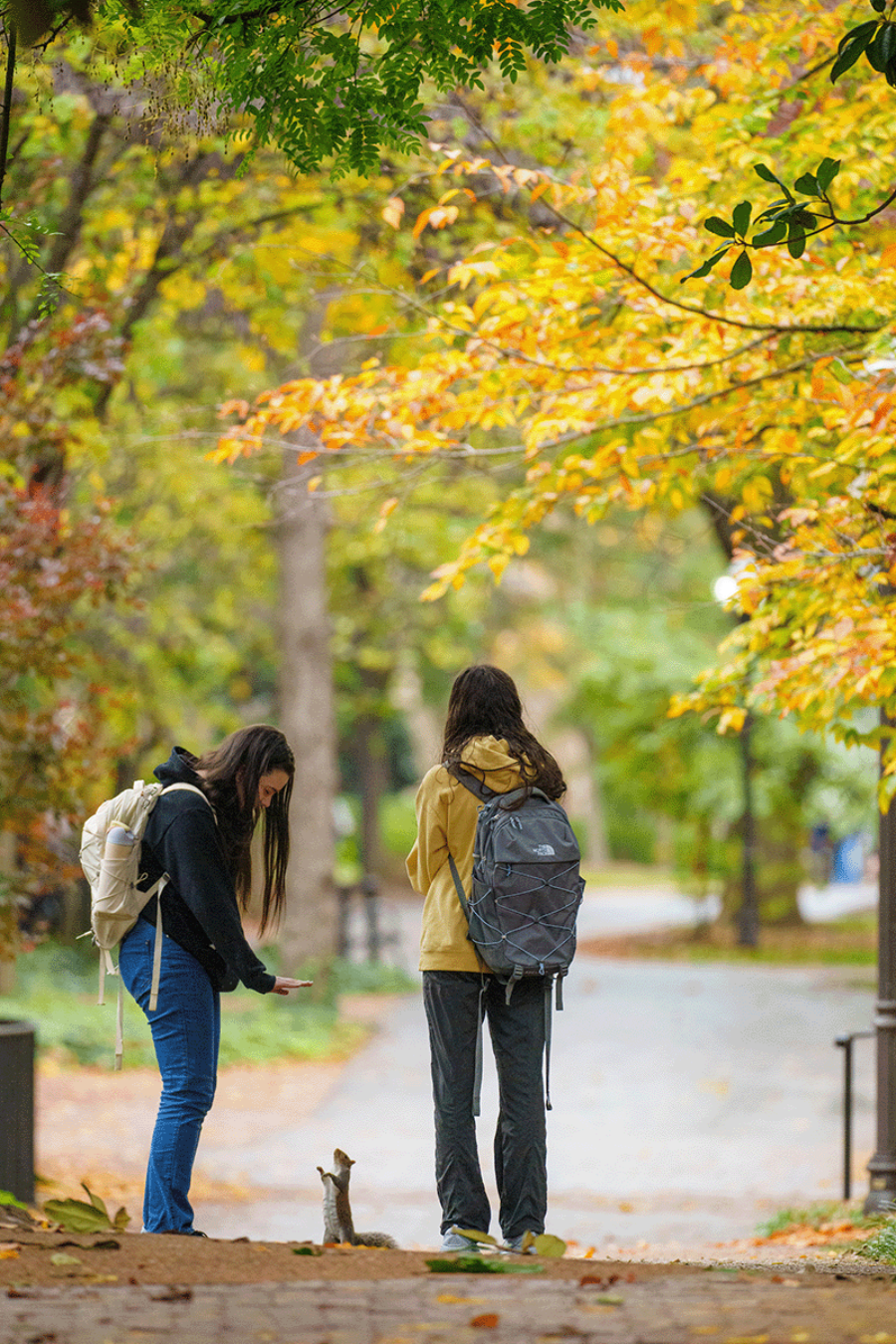 Rainy Fall day on campus, two females approaching a squirrel