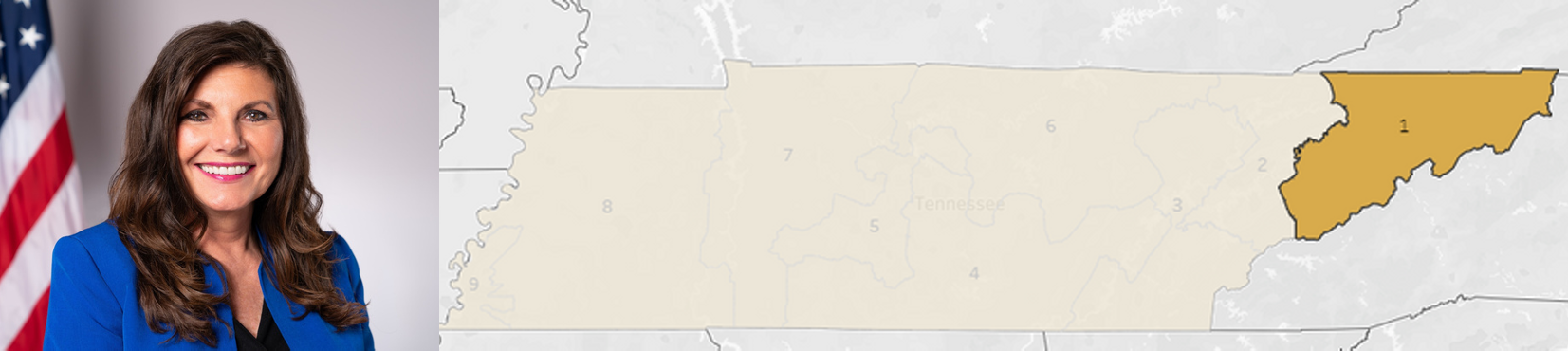 Rep. Diana Harshbarger, map of TN Congressional district 1