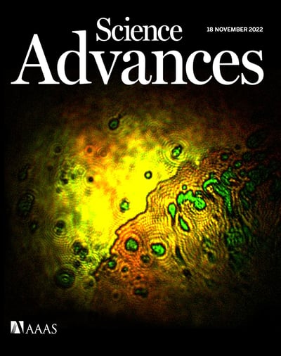 Vanderbilt University