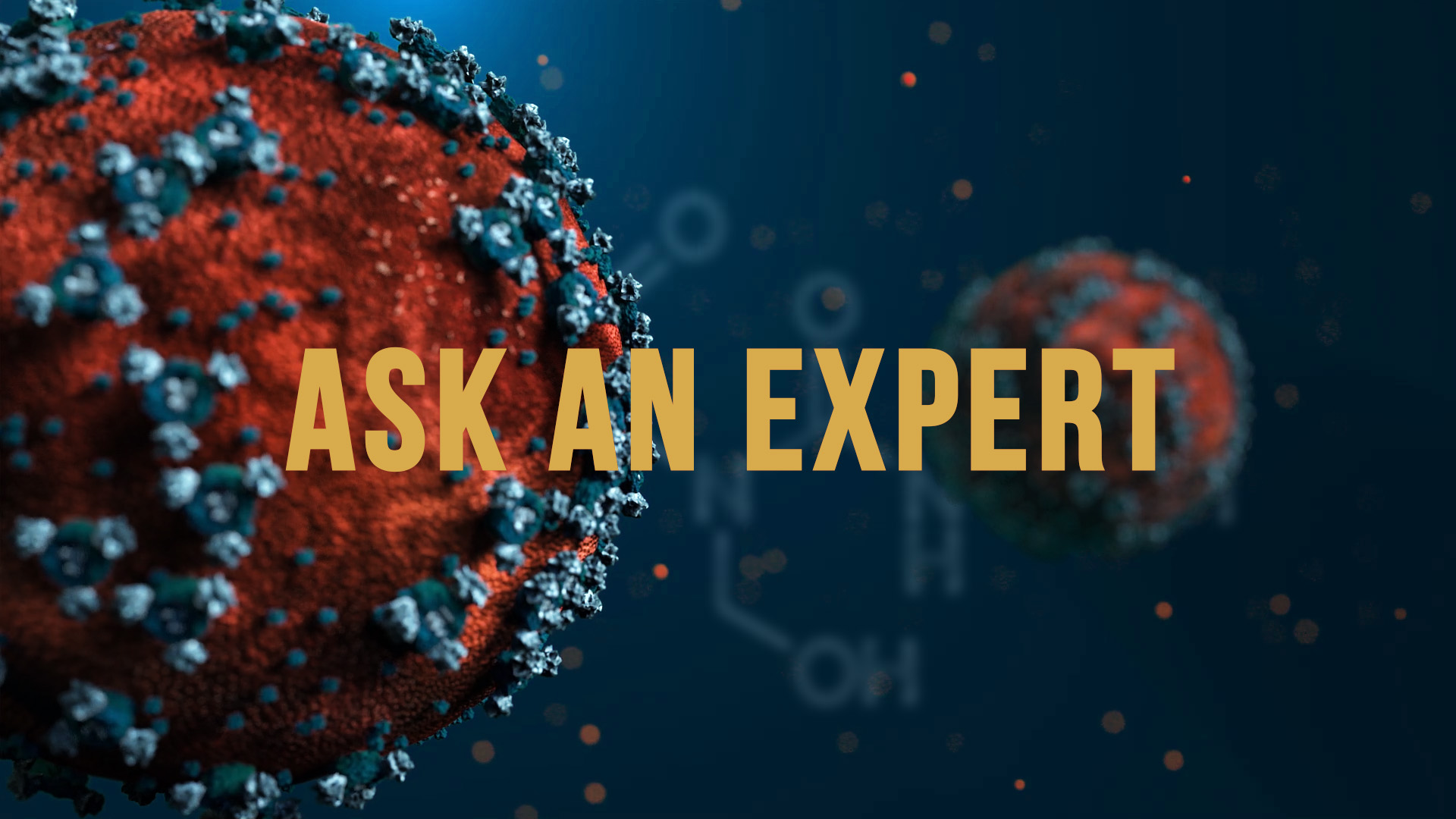Ask an Expert
