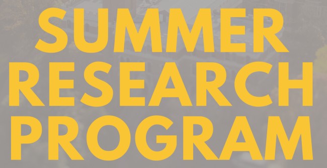 Data Science Institute Summer Research Program