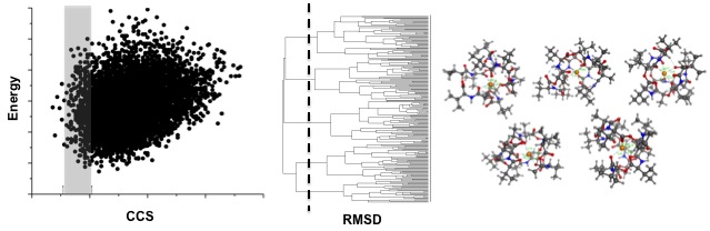 Computational Workflow
