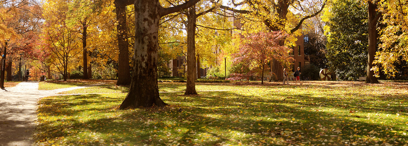 <strong>Online Registration</strong><br />Our online registration services make it simple for you to organize all and any type of event. You can control how you want to customize your event page that will help promote your event, track attendance and manage your event registration details.