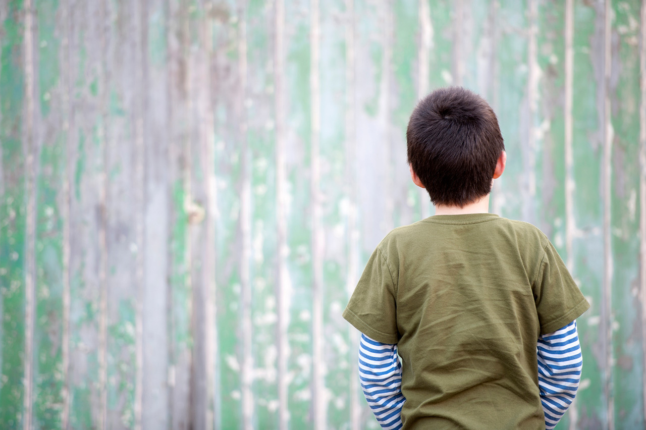magnetic rods for scoliosis treatment