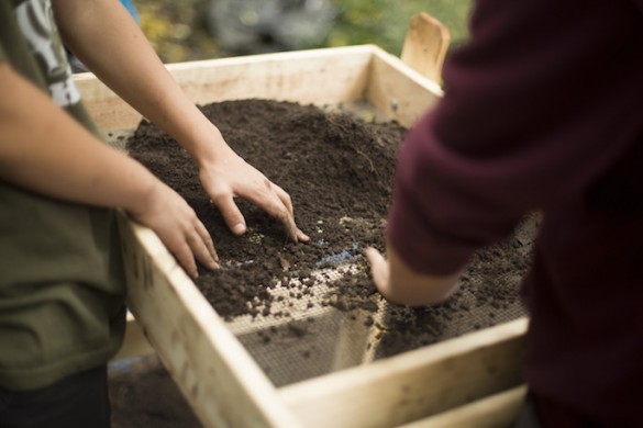 close-up of hands sifting dirt through mesh