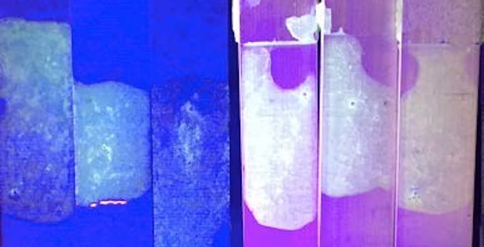 Vanderbilt University