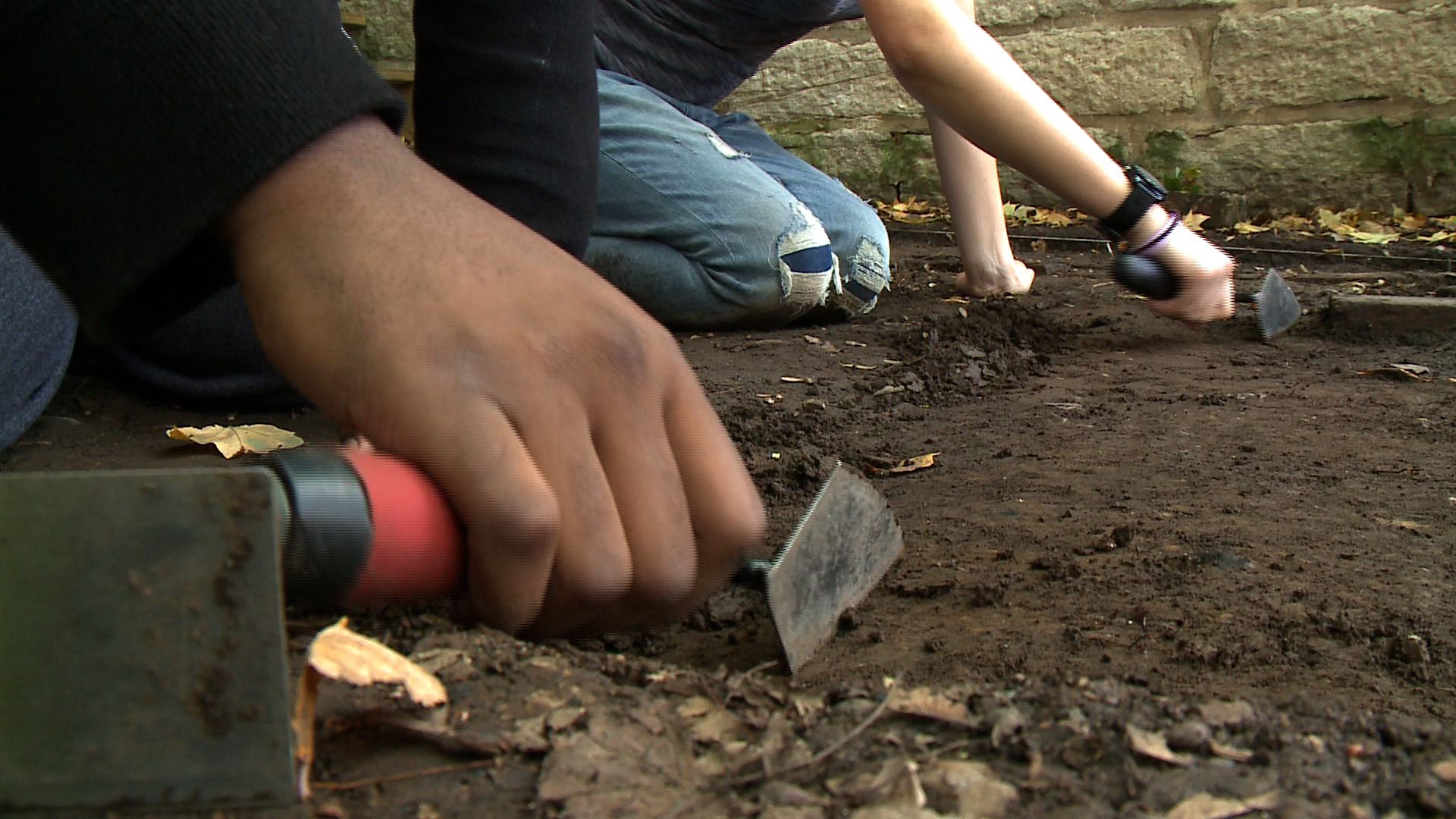 Vanderbilt University