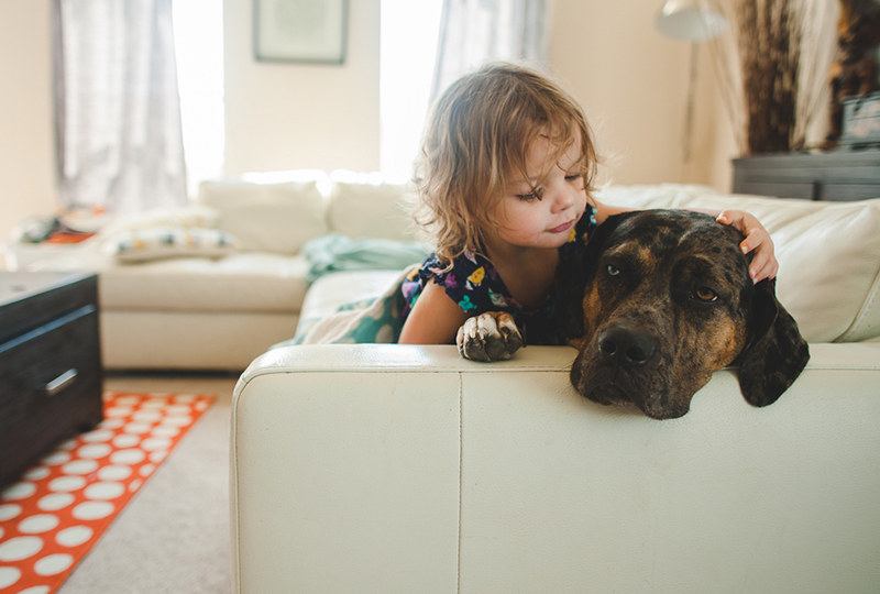 Helping your children when a pet dies