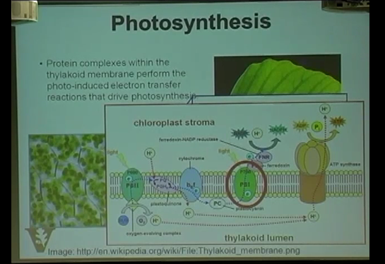 Vanderbilt University
