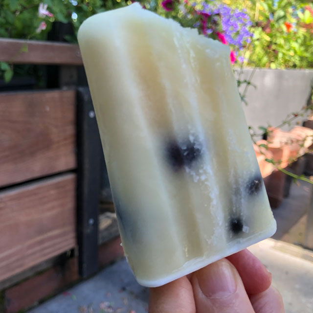 A closeup of a homemade popsicle, made with Greek yogurt, lemon juice and berries.