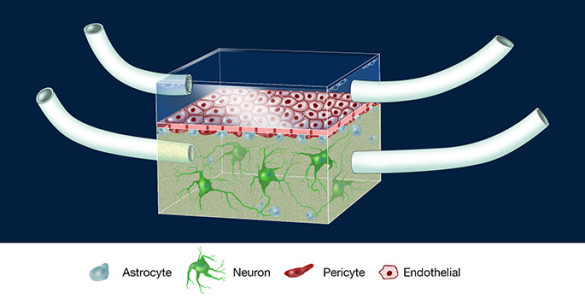 illustration of chip
