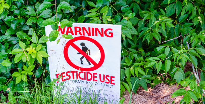 EPA-funded study aims to create novel platform for research into long-term neurotoxin exposure