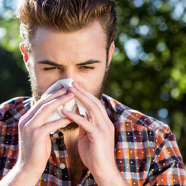 reducing the impact of a pollen allergy