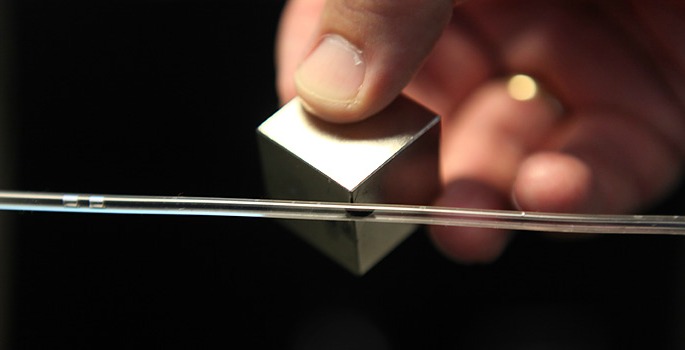 Vanderbilt University