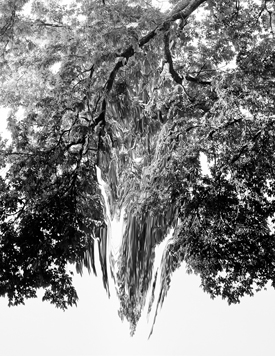 "Stone" by Lakes Were Rivers