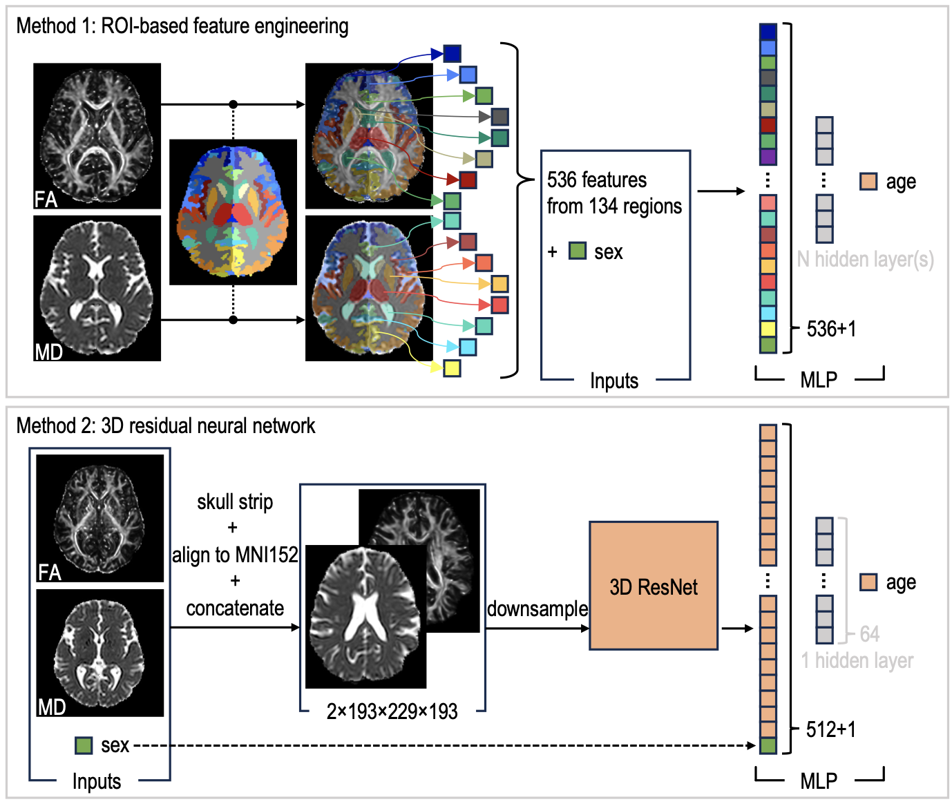 Vanderbilt University
