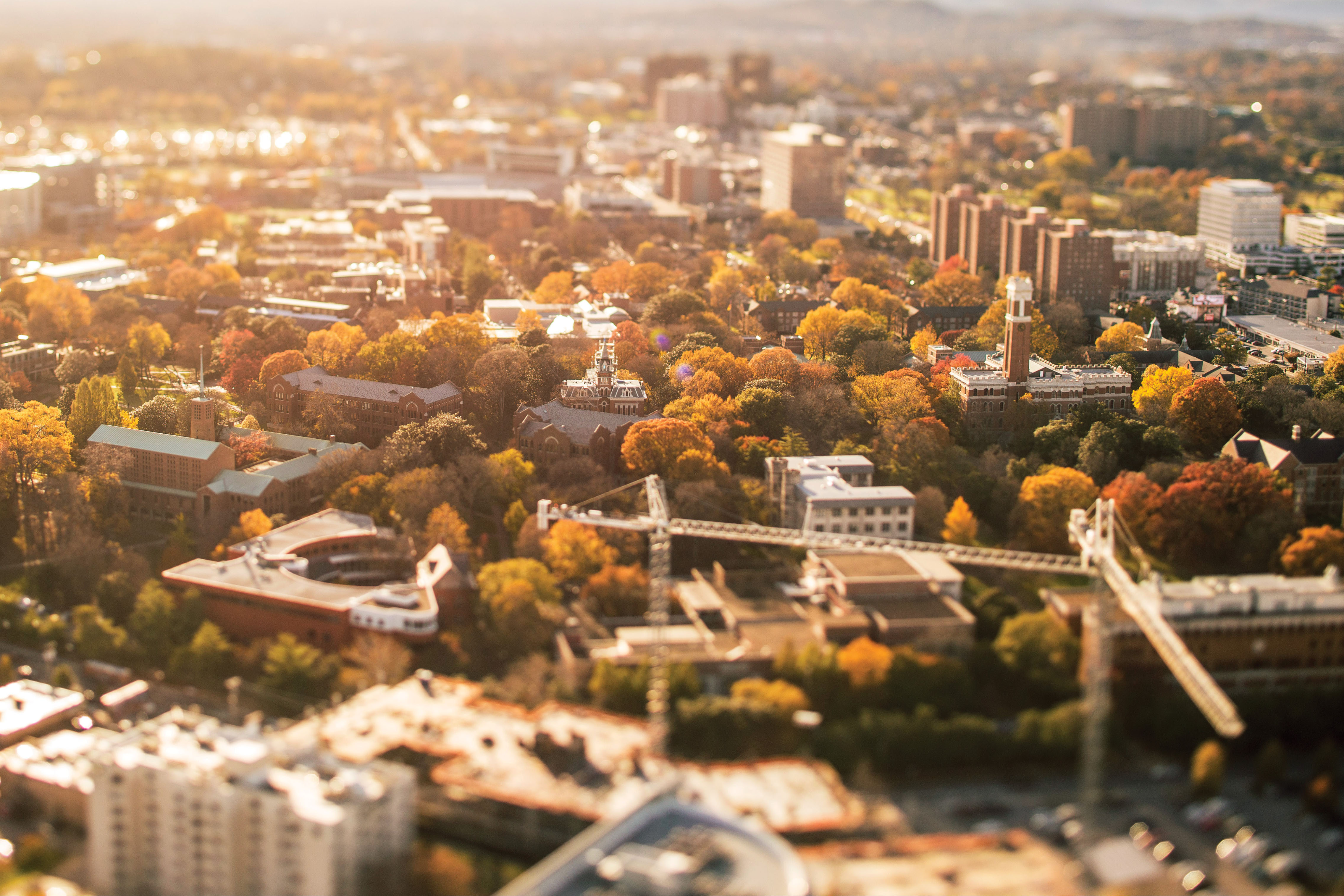 Vanderbilt University