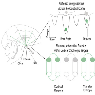 Vanderbilt University