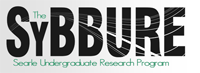 SyBBURE Logo