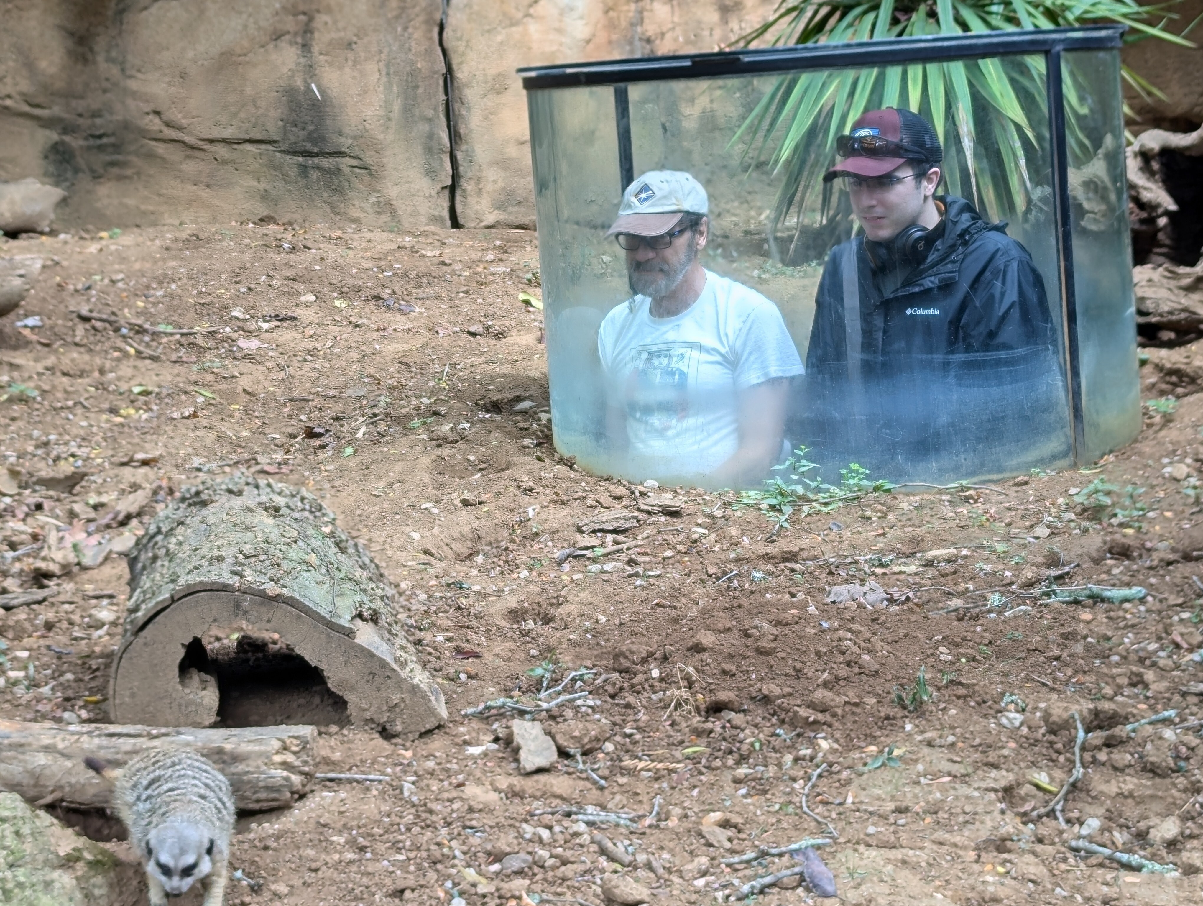 Exploring Nashville Zoo during the 2024 FCAI Autism Summer Internships. Exploring Nashville Zoo during the 2024 FCAI Autism Summer Internships.